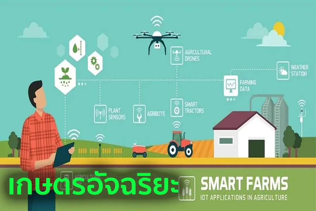สมาร์ทฟาร์ม เกษตรอัจฉริยะ