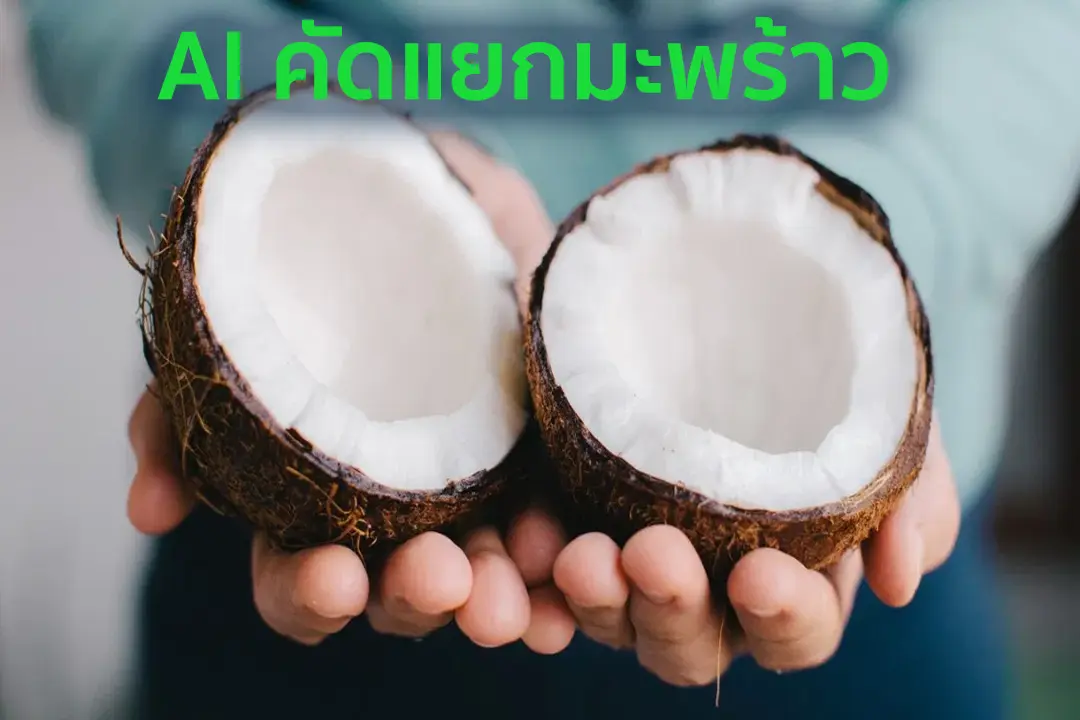 เอไอวิเคราะห์ชั้นเนื้อมะพร้าว SPU